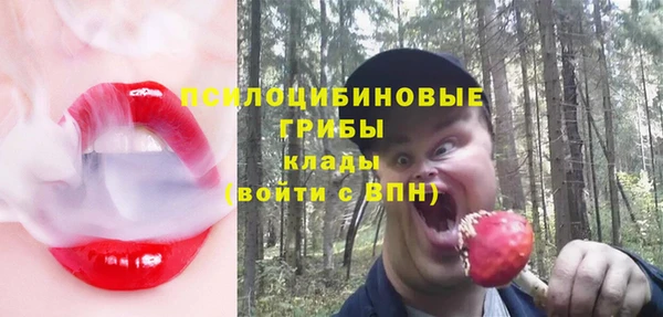 ECSTASY Михайловск