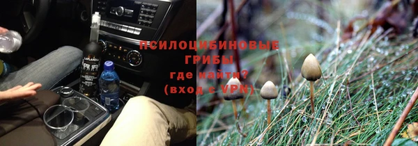 мдпв Михайлов